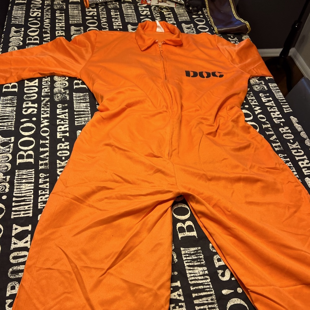 Mens Dept of Corrections costume.  One size fits most.